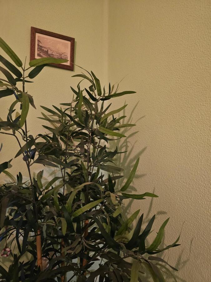 Habitacion Amplia Y Centrica En Piso Compartido A Coruna Ngoại thất bức ảnh